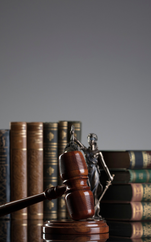 İş ve Sosyal Güvenlik Hukuku