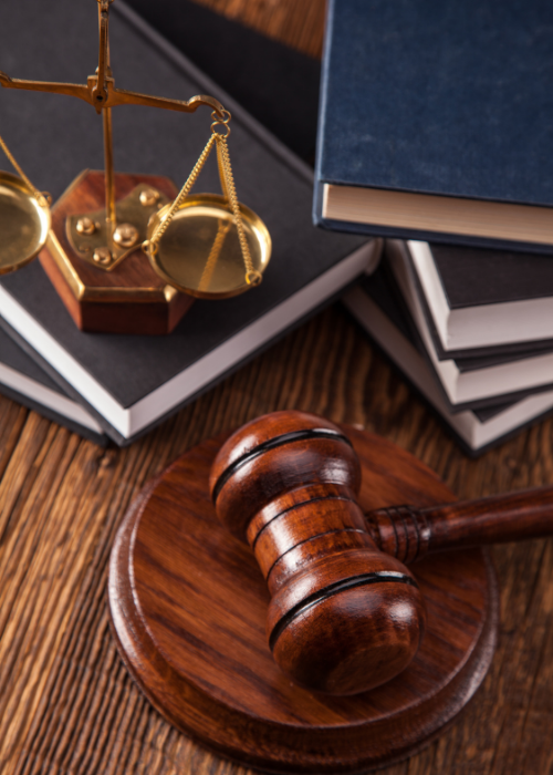 Özelleştirme Hukuku